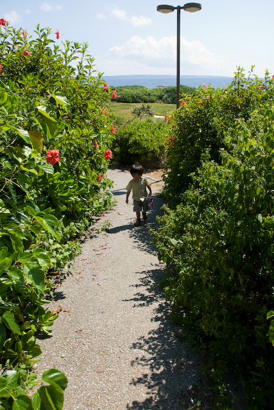 DSC_9890.jpg