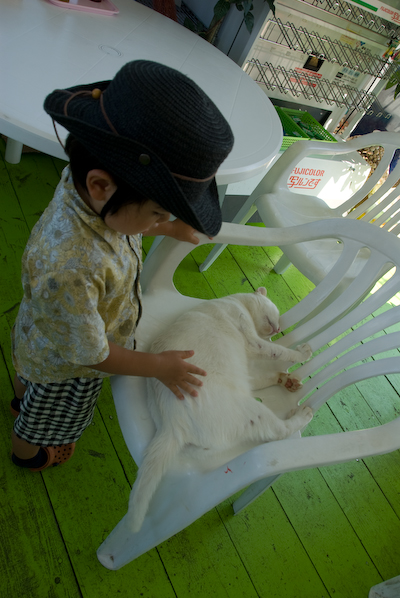 DSC_9935.jpg
