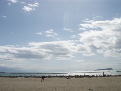 P5042869.jpg