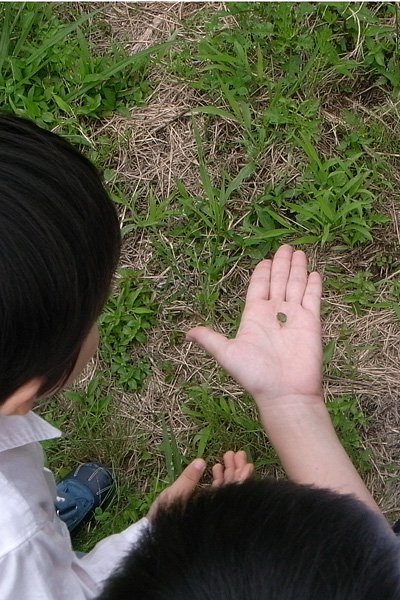 R0013658.jpg