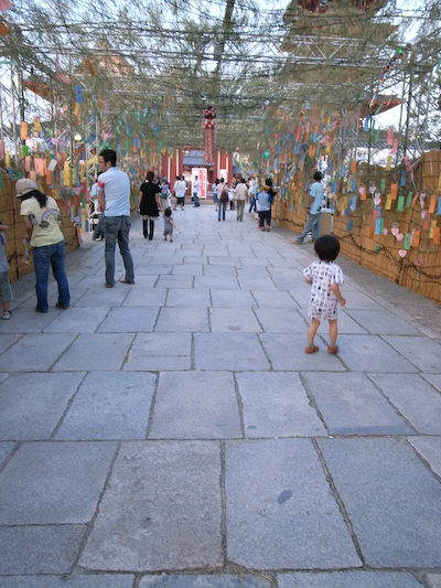 R0015966.jpg