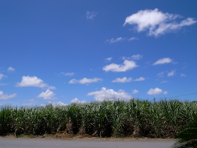 R0016021.jpg
