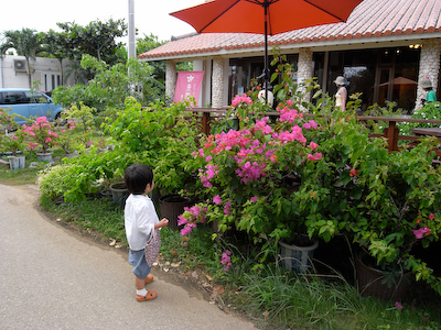 R0016030.jpg