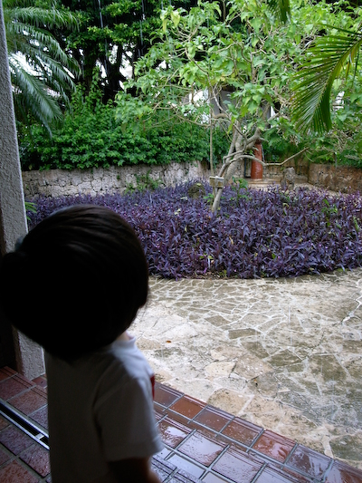 R0016199.jpg
