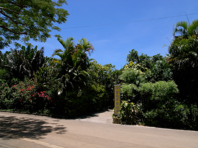 R0016313.jpg