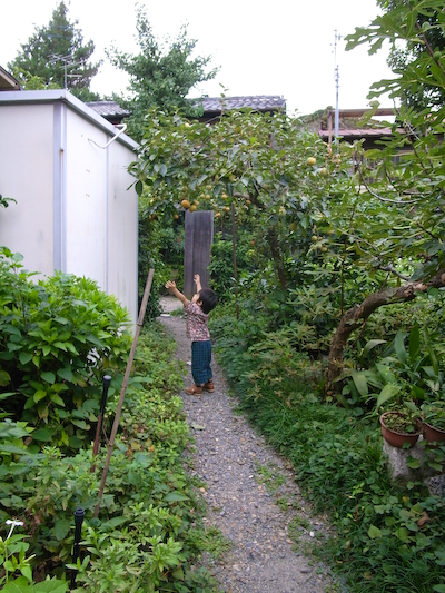 R0018461.jpg