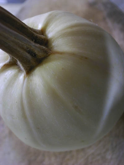 R0018663.jpg