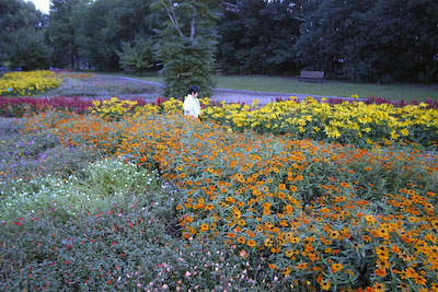 R0018786.jpg