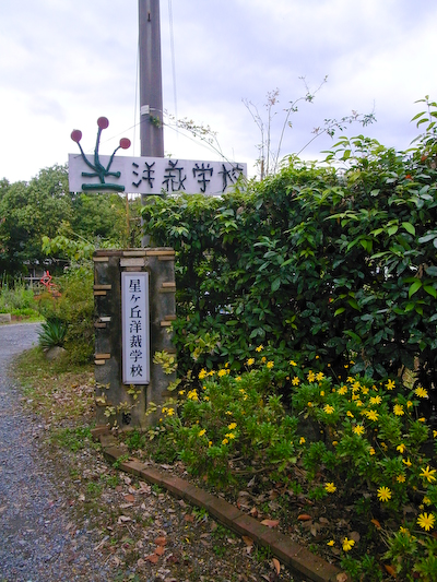 R0019724.jpg