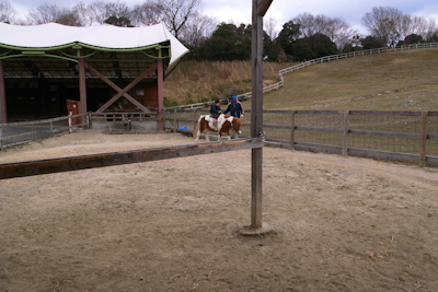 R0021882.jpg