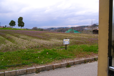 R0021921.jpg