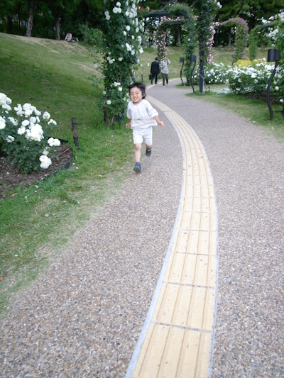 R0022828.jpg