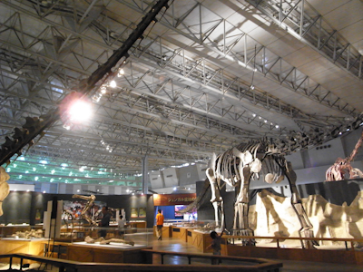 R0024612.jpg
