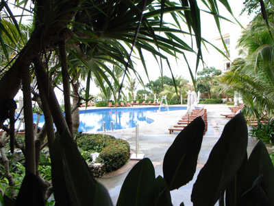 R0037065.jpg