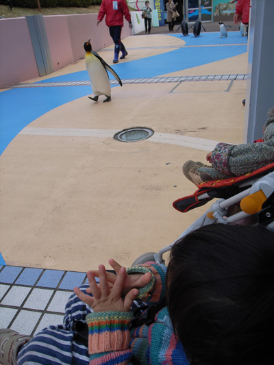 R0037246.jpg