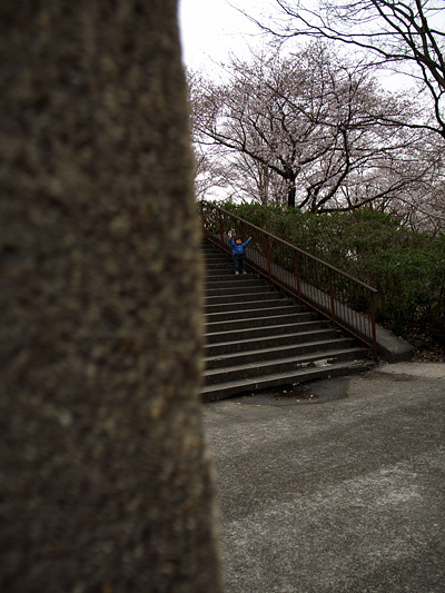 R0037435.jpg