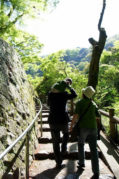 R0037725.jpg