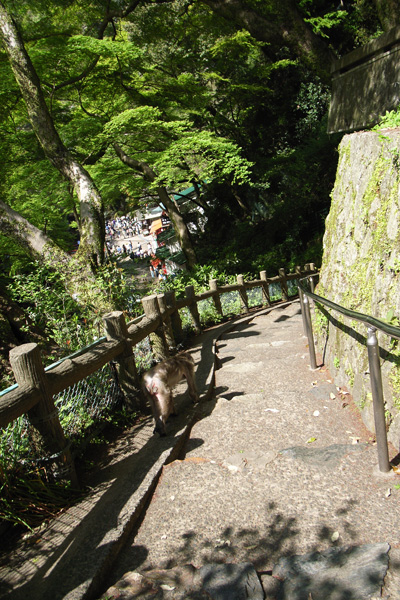 R0037728.jpg