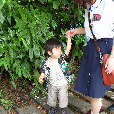 R0038234.jpg