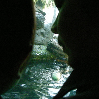 R0038436.jpg