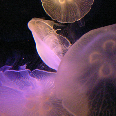 R0038728.jpg