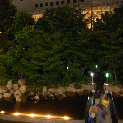 R0038764.jpg