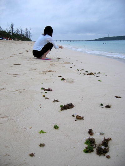050510beach.jpg