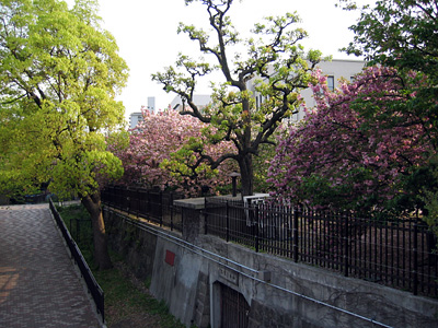after_torinuke01.jpg