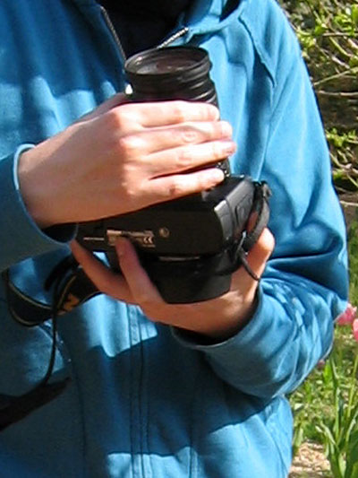 d70_002.jpg