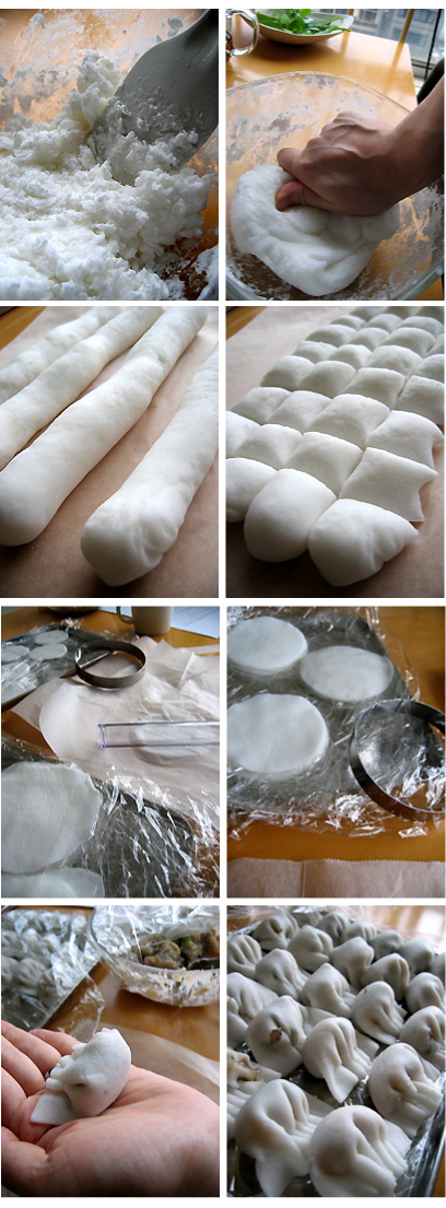 ebigyoza01.jpg