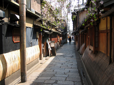 gion_haru01.jpg