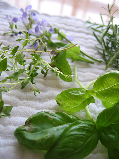 herbvinaigre01.jpg