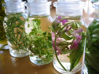herbvinaigre02.jpg