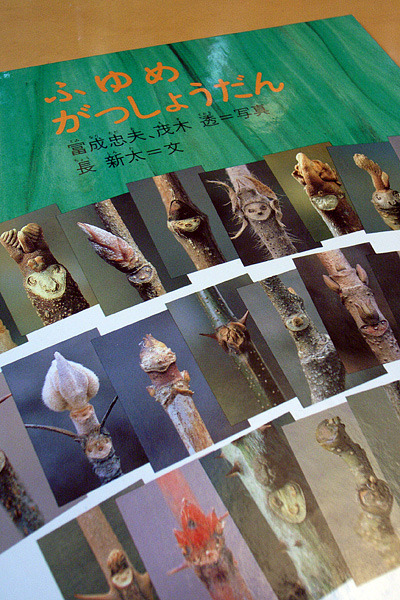 huyume00.jpg