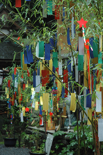 kifune05.jpg