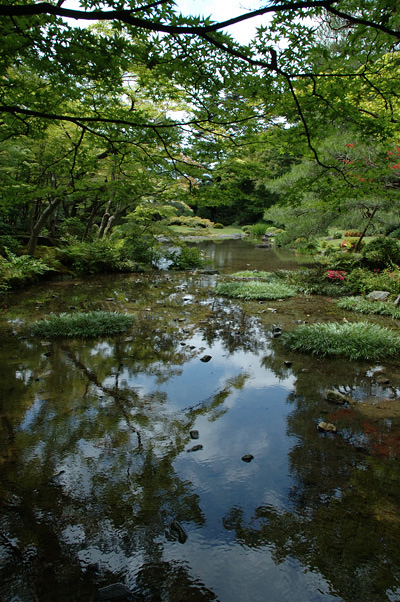 murinan05.jpg
