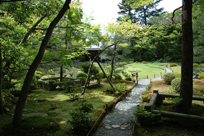 murinan07.jpg