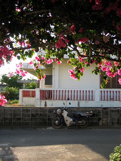 oishisaa01.jpg