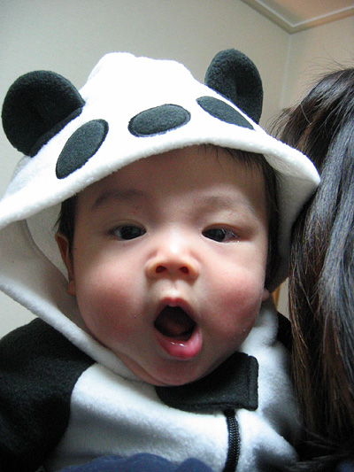 pandakanta.jpg