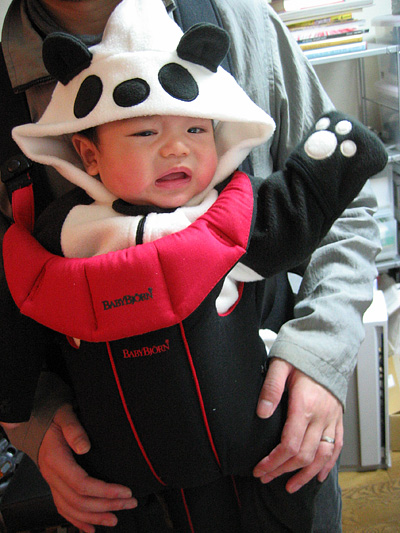 pandakanta01.jpg