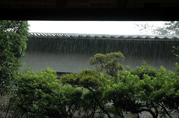 rain.jpg