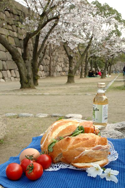 sakura_lunch01.jpg