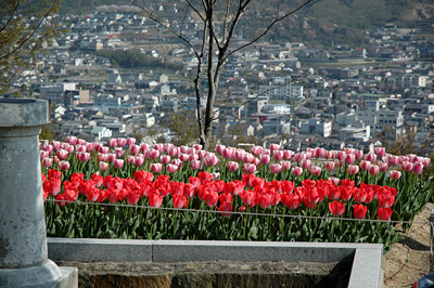 shikokumura04.jpg