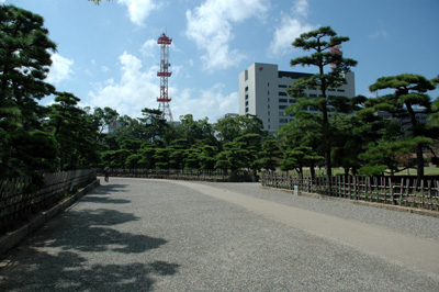 tammamo01.jpg