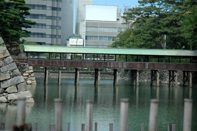 tammamo03.jpg