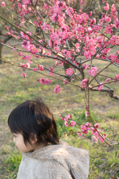bairin06.jpg
