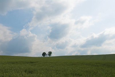 biei005.jpg