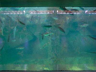 glassbt03.jpg