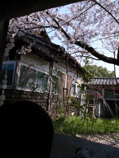 hanamatsuri01.jpg