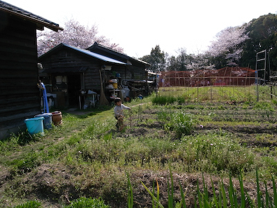 hanamatsuri05.jpg